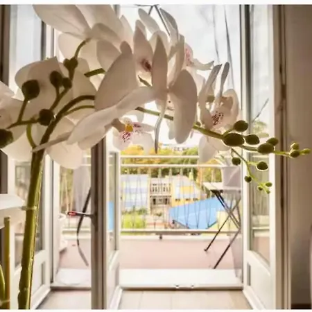 Apartamento Casa Wilson *